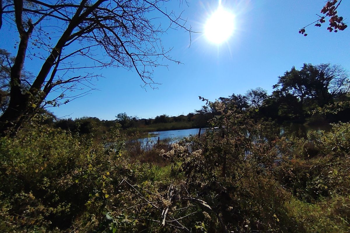 A scenic view of a natural pond surrounded by mature trees and native vegetation on the farm property.