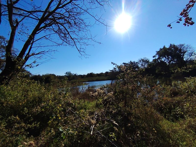 A scenic view of a natural pond surrounded by mature trees and native vegetation on the farm property.