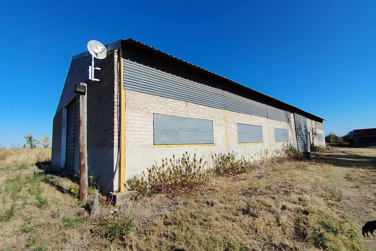 Exterior view of a large agricultural outbuilding featuring brick walls, corrugated metal roofing, and a metal roller shutter door on a rural property.