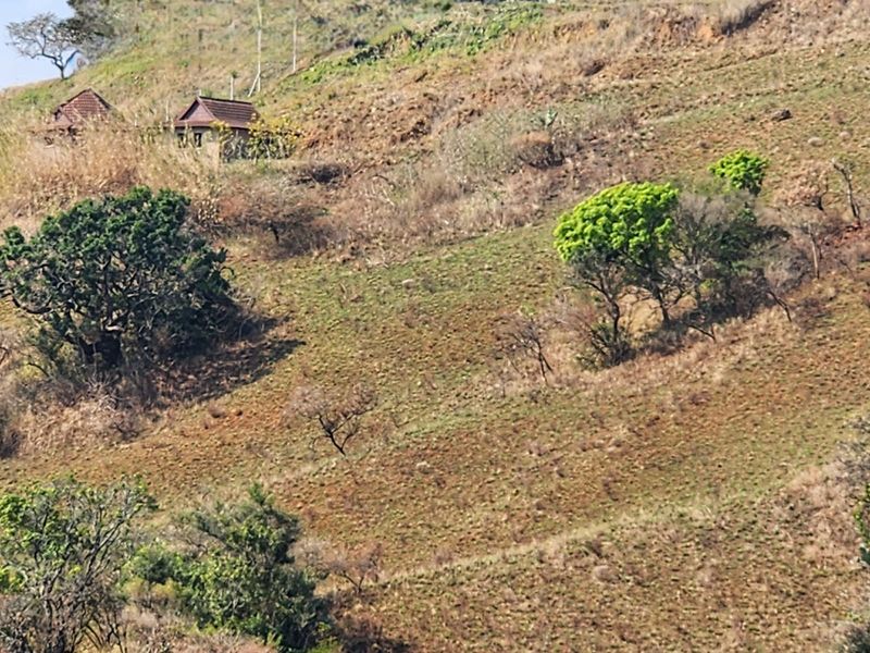 A distant view of a sloped, undeveloped hillside landscape with sparse vegetation and a small structure visible in the background.