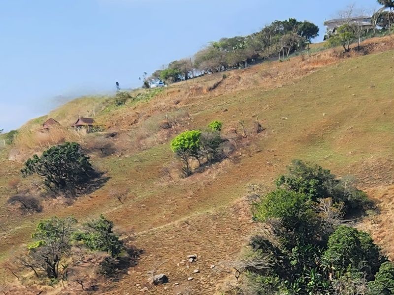 A wide-angle view of a sloping, undeveloped hillside landscape with sparse vegetation and distant structures.