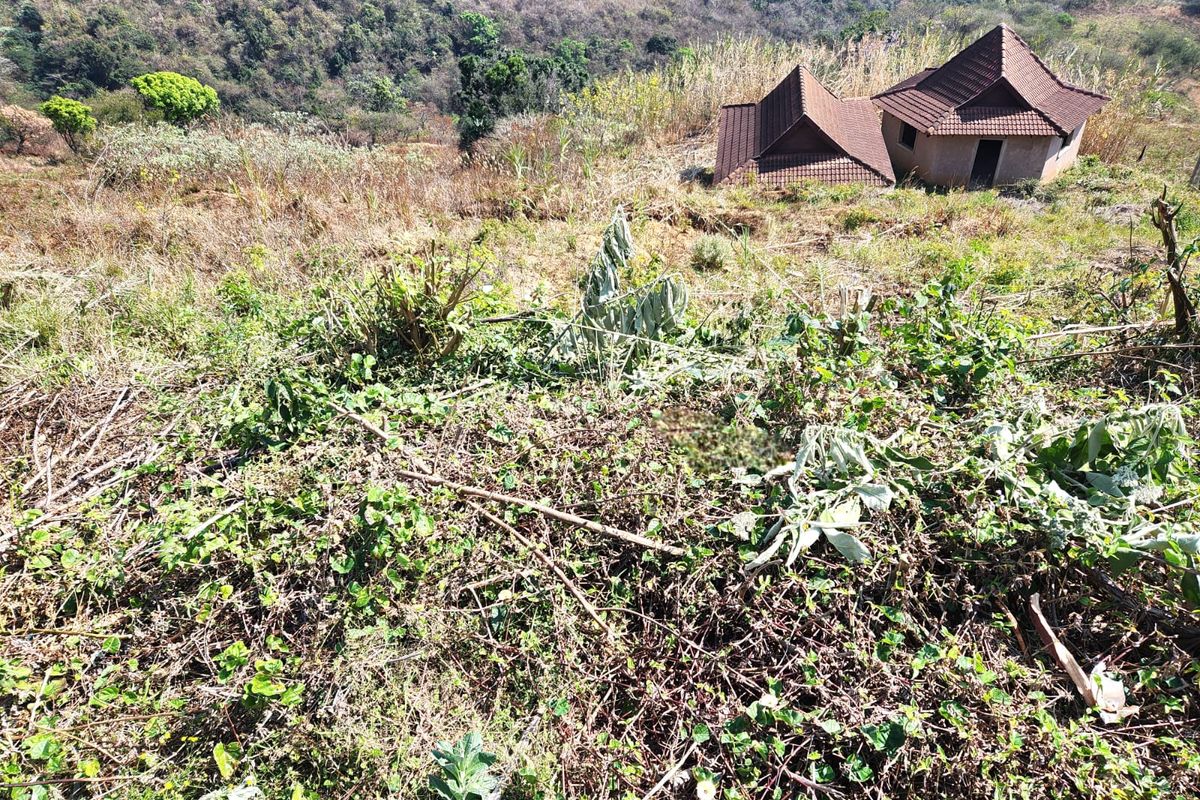 Aerial view of a property featuring a structure with a tiled roof situated on a sloped, overgrown plot of land.