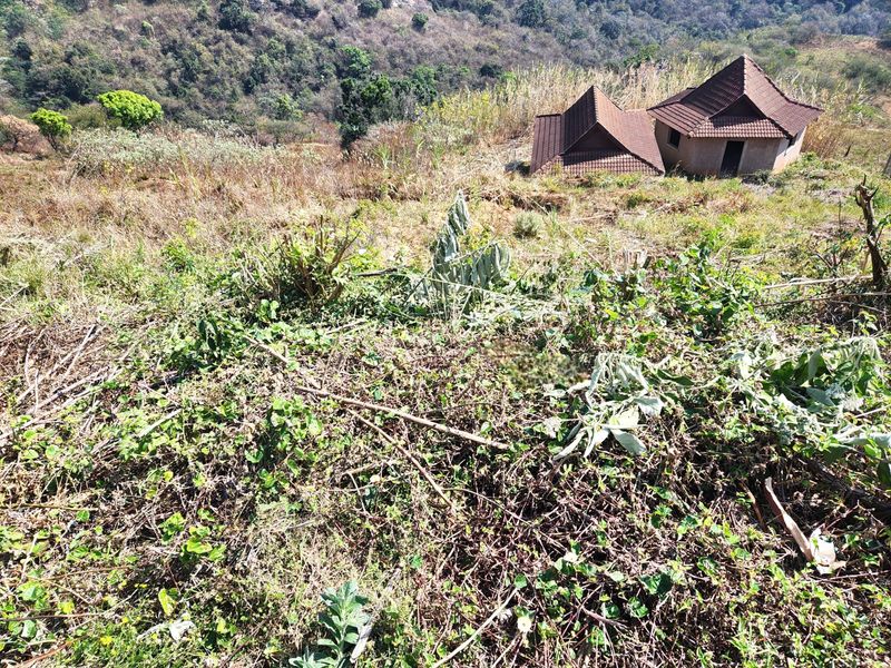 Aerial view of a property featuring a structure with a tiled roof situated on a sloped, overgrown plot of land.