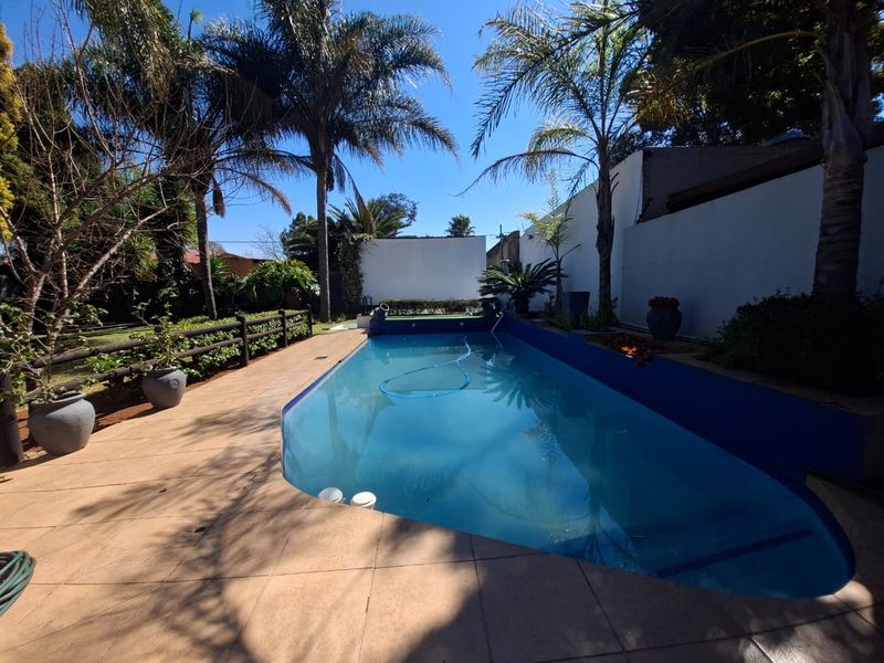 A well-maintained outdoor swimming pool area featuring a tiled deck, boundary walls, and established palm trees in a private garden setting.