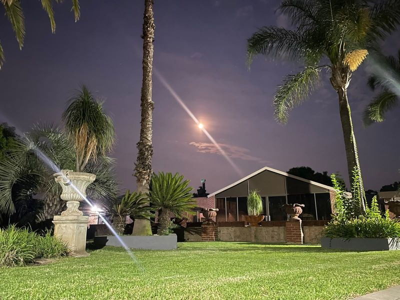 Night view of the rear garden featuring a manicured lawn, mature palm trees, stone planters, and a brick-accented covered patio area.
