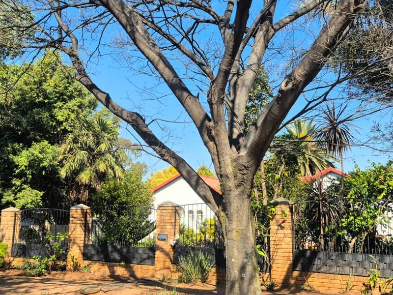 A view of the property's front exterior, featuring a brick boundary wall with wrought iron fencing and mature garden landscaping.