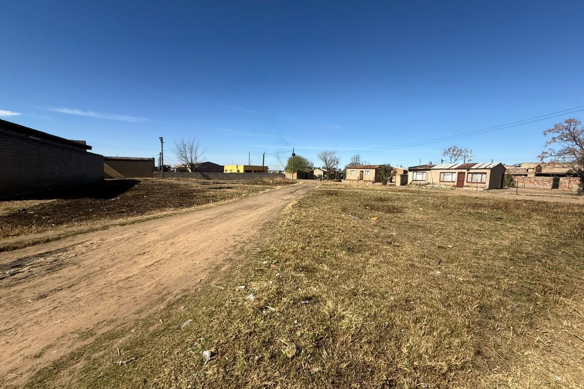 A view of an unpaved residential street with surrounding vacant land and neighboring properties.