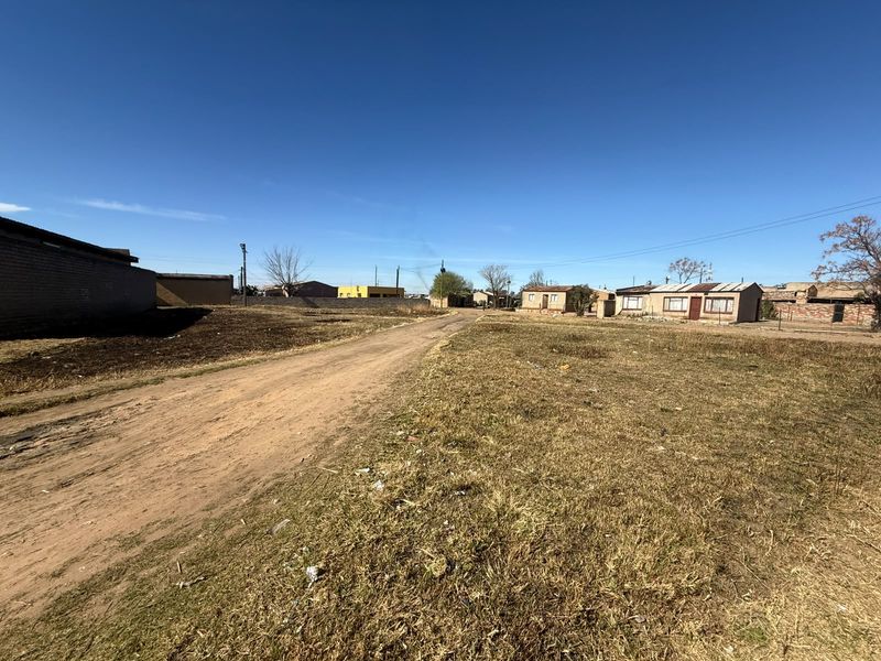 A view of an unpaved residential street with surrounding vacant land and neighboring properties.