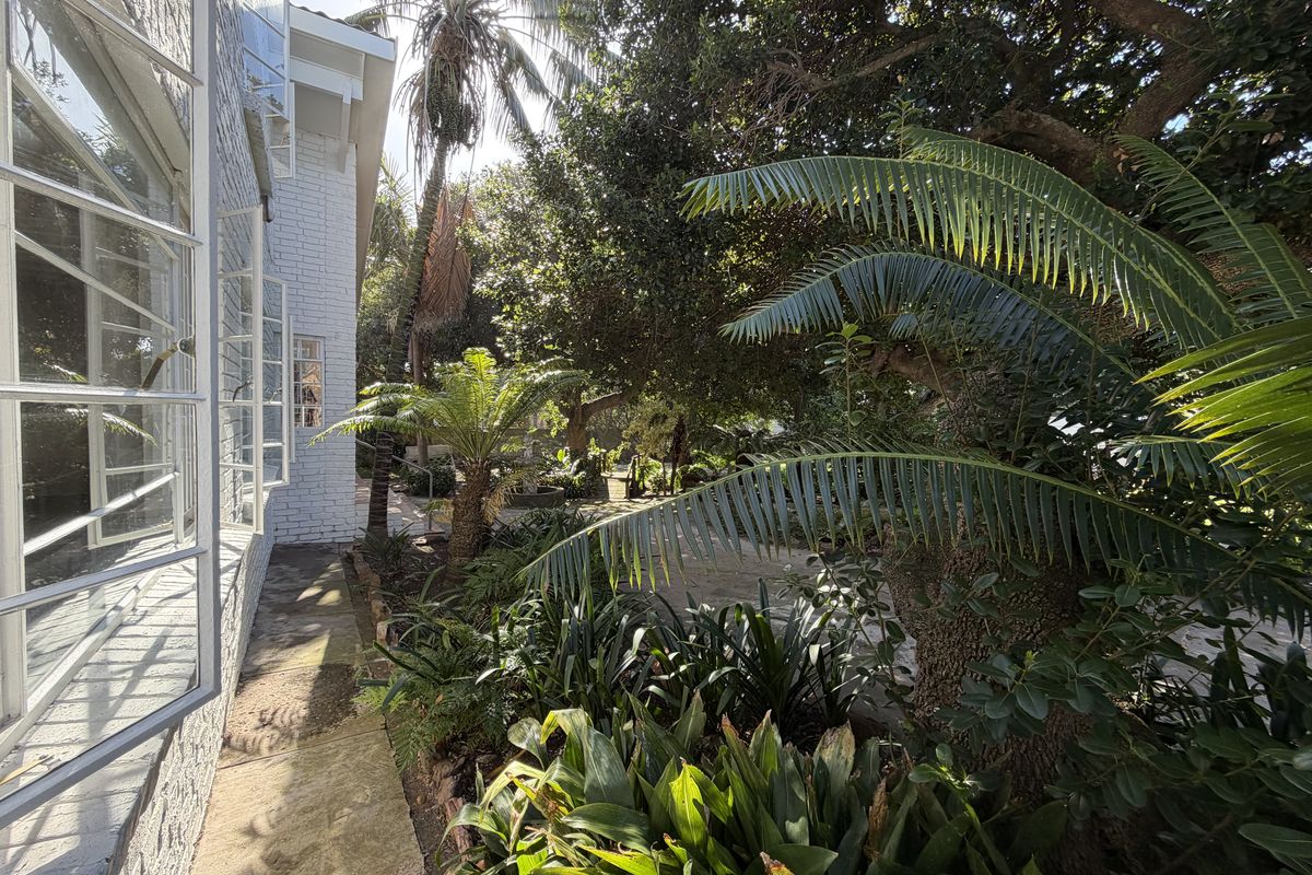 A view of the rear garden area featuring a painted brick exterior wall, casement windows, and a paved walkway surrounded by mature trees and foliage.