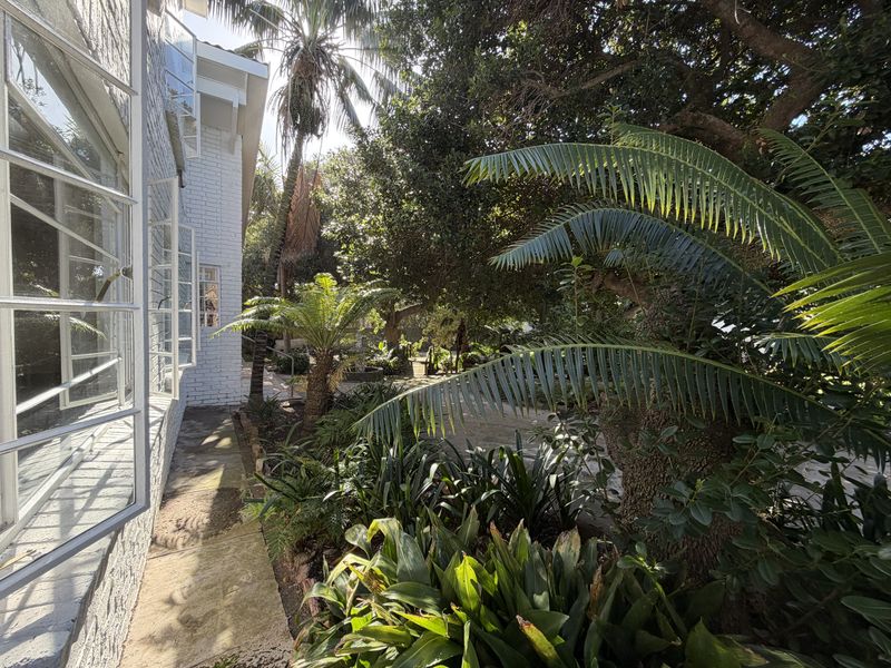 A view of the rear garden area featuring a painted brick exterior wall, casement windows, and a paved walkway surrounded by mature trees and foliage.