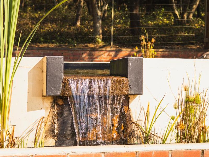 A decorative garden water feature with a brick retaining wall and a concrete spillway, set against a backdrop of mature trees.