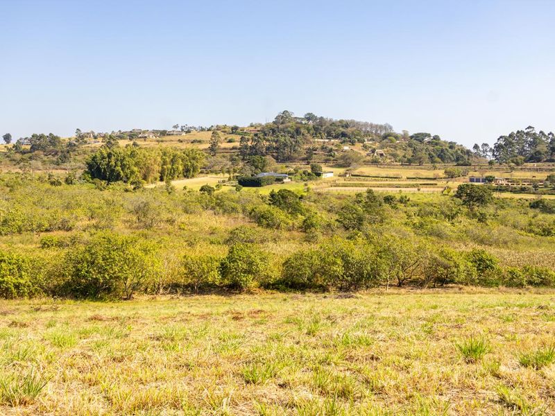 A scenic view of the expansive, undeveloped residential land featuring rolling hills, natural vegetation, and surrounding rural landscape.