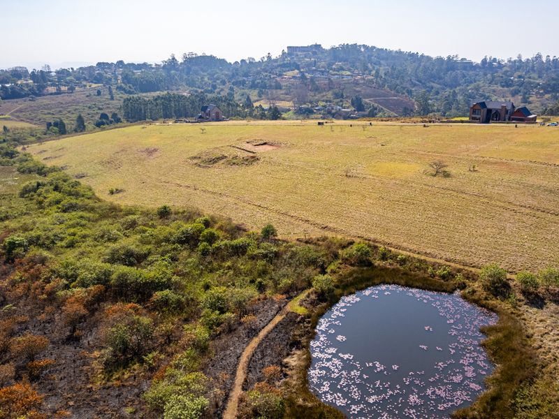 An aerial view of a large vacant residential plot featuring natural grassland, indigenous vegetation, and a small pond.