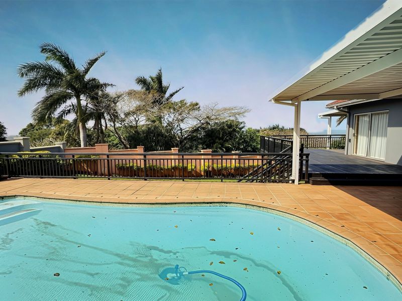 Outdoor pool area featuring a tiled deck, raised timber patio, and metal fencing, overlooking a landscaped garden with mature palm trees.