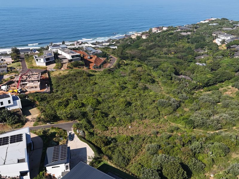 Aerial view of a vacant residential plot surrounded by established coastal vegetation and modern residential properties near the ocean.
