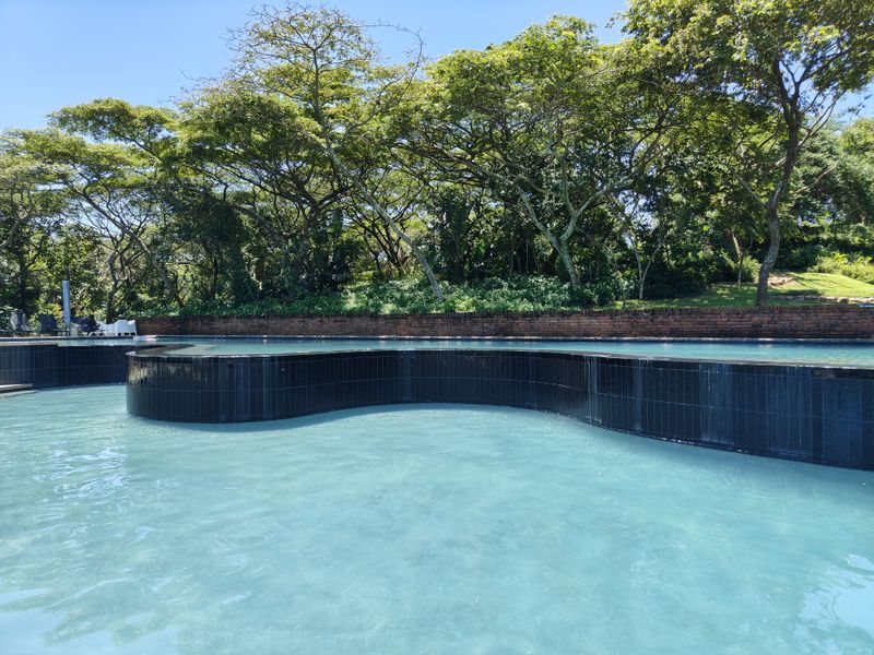 A large, curved swimming pool featuring dark tiled finishes, set against a backdrop of mature trees and a brick retaining wall.