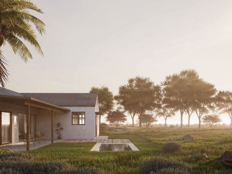 A serene rear exterior view featuring a covered patio, timber decking, and a small plunge pool set within a landscaped garden.