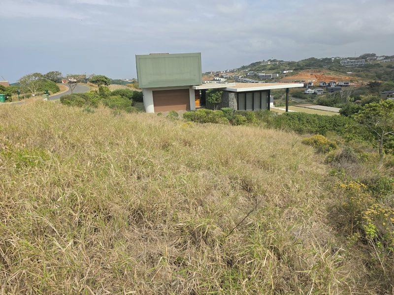 A view of a modern residential property situated on a sloped, undeveloped plot of land with natural grass and surrounding estate views.