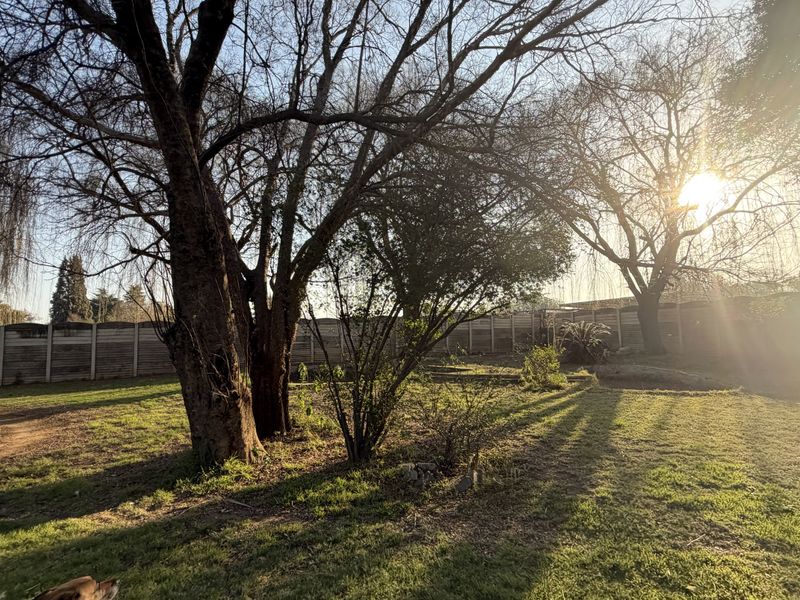 A spacious garden area featuring mature trees, established lawn, and a precast concrete boundary wall, capturing the afternoon sun.