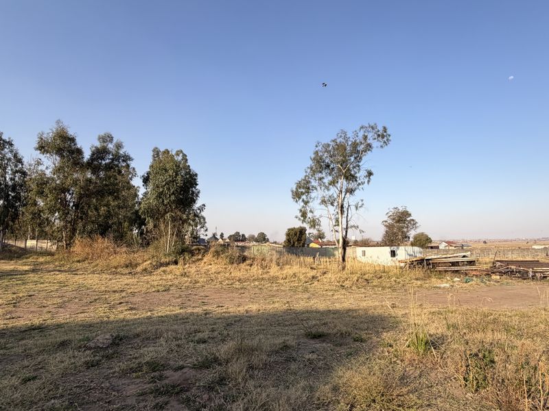 A large, undeveloped plot of land featuring mature trees and perimeter fencing, offering significant potential for landscaping or future development.