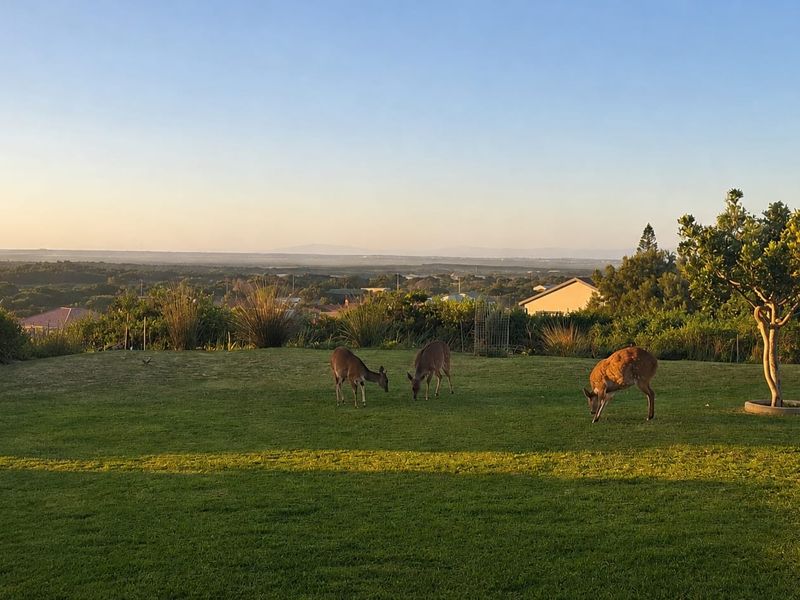 A scenic view overlooking a landscaped garden and natural landscape at sunset.
