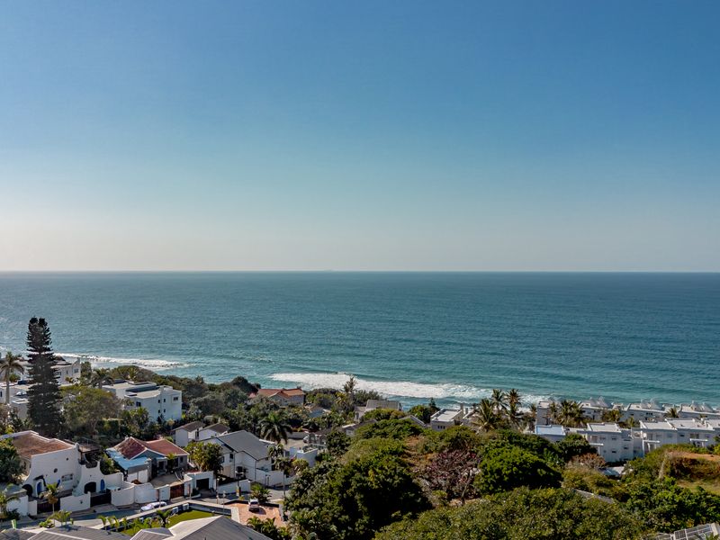 Elevated coastal view overlooking the ocean and surrounding residential neighborhood.