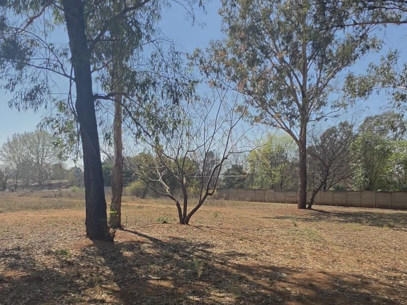 A spacious, level vacant residential plot featuring mature trees and a perimeter boundary wall, offering a blank canvas for development.