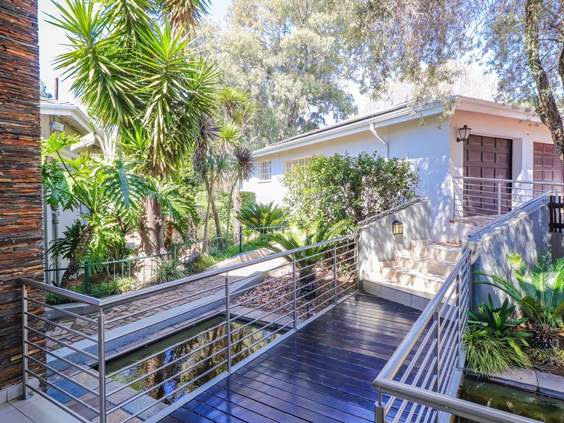 A landscaped rear garden area featuring a timber bridge over a water feature, stone-clad architectural elements, and modern stainless steel balustrades.