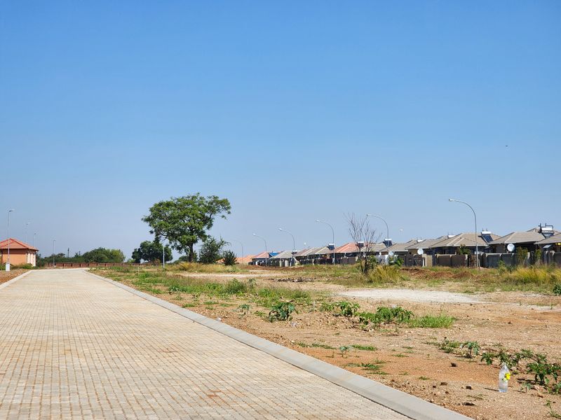 A view of a residential development site featuring a newly paved road, concrete curbing, and established street lighting in a suburban neighborhood.