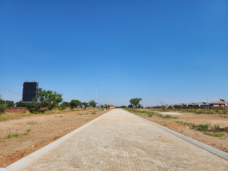 A clear view of a paved residential street within a developing estate, featuring established street lighting and surrounding vacant land plots.
