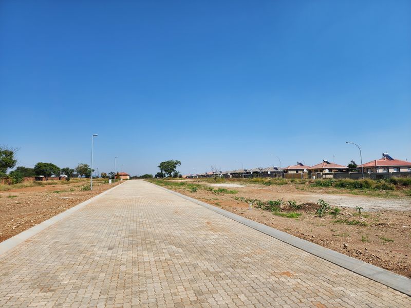 A clear view of a paved residential street within a developing estate, featuring established street lighting and concrete curbing.