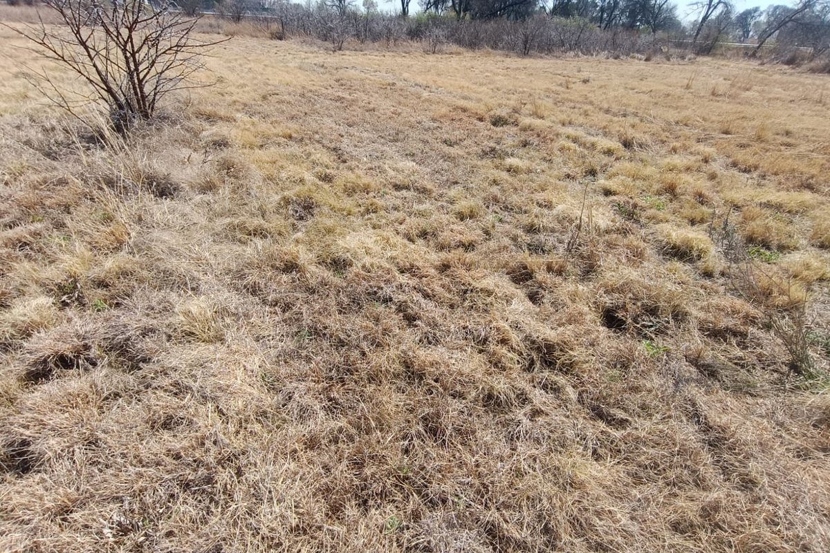 A view of an undeveloped residential plot featuring dry natural grass and sparse vegetation.