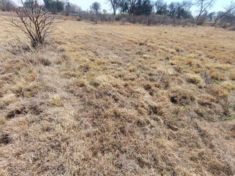 A view of an undeveloped residential plot featuring dry natural grass and sparse vegetation.