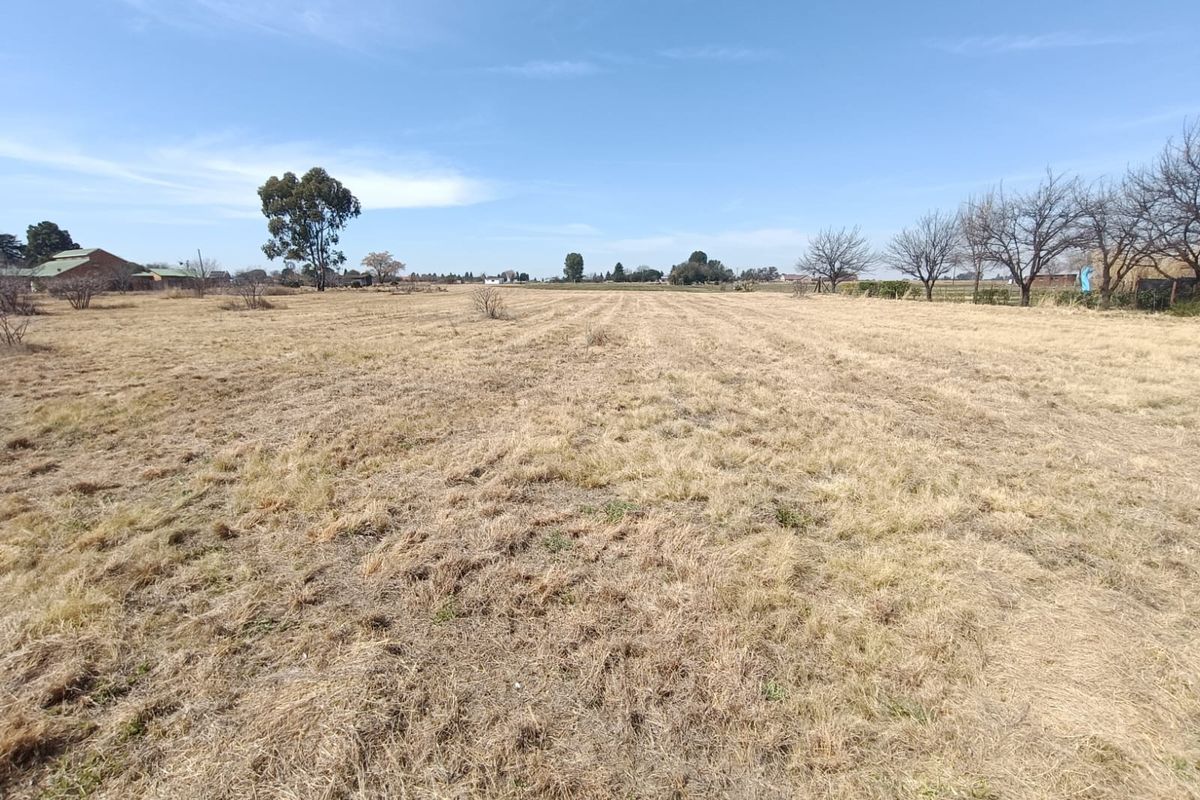 A wide, open residential vacant lot featuring dry grass and scattered mature trees, offering a blank canvas for future development.