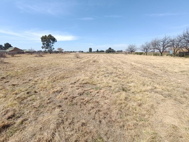 A wide, open residential vacant lot featuring dry grass and scattered mature trees, offering a blank canvas for future development.