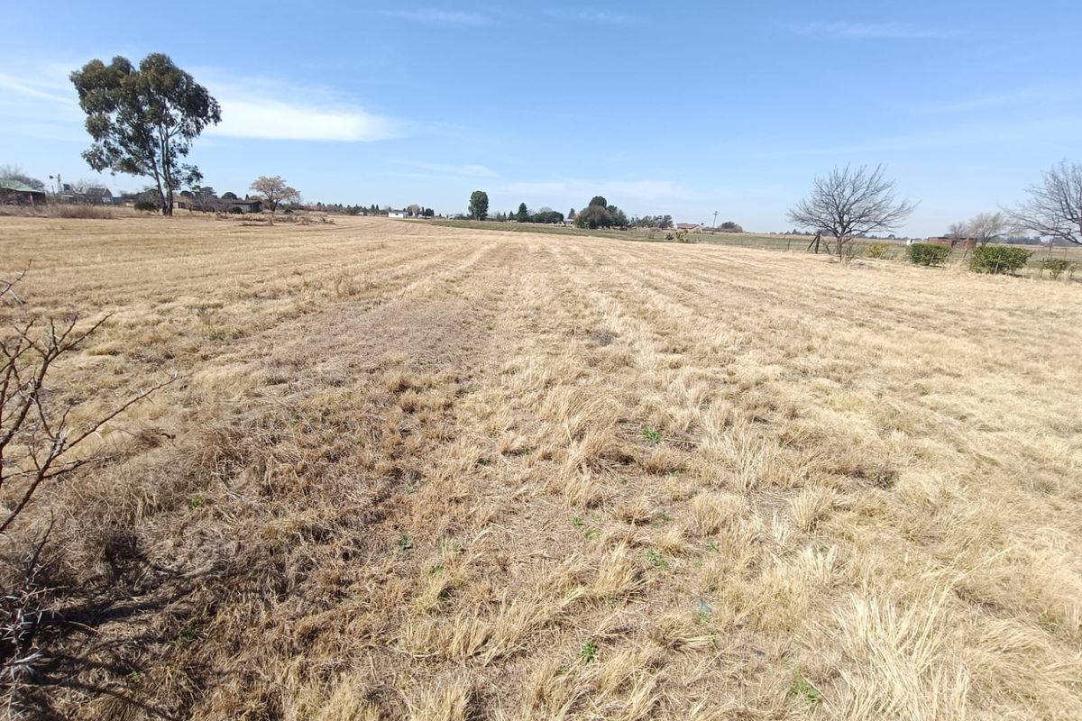 A wide-angle view of a large, open residential vacant land plot featuring dry grass and scattered mature trees under a clear blue sky.