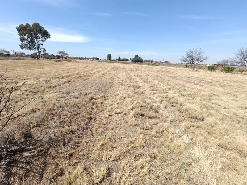 A wide-angle view of a large, open residential vacant land plot featuring dry grass and scattered mature trees under a clear blue sky.