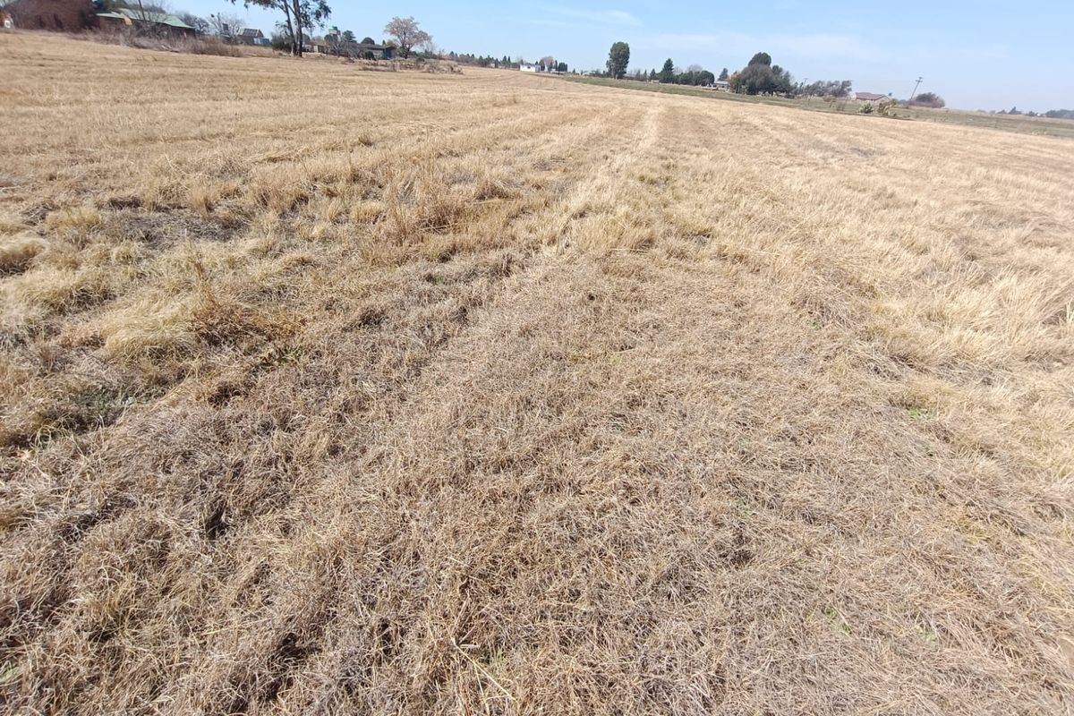 A wide-angle view of a vacant residential plot featuring dry grassland and open space, suitable for future development.