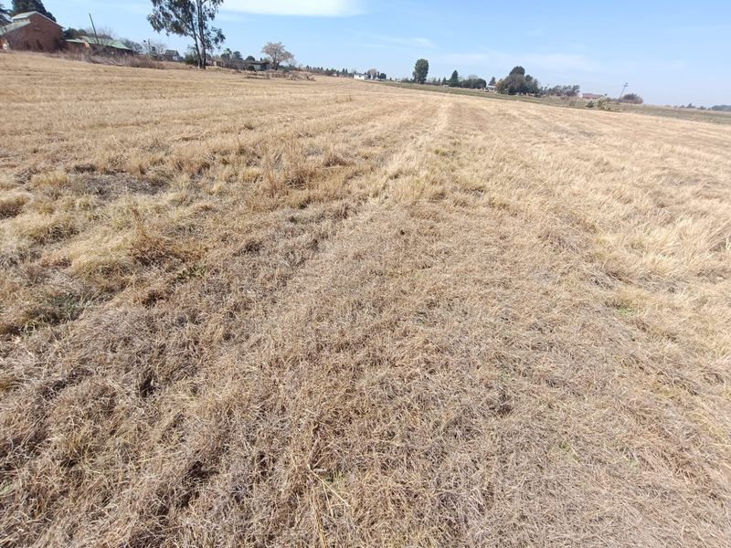A wide-angle view of a vacant residential plot featuring dry grassland and open space, suitable for future development.
