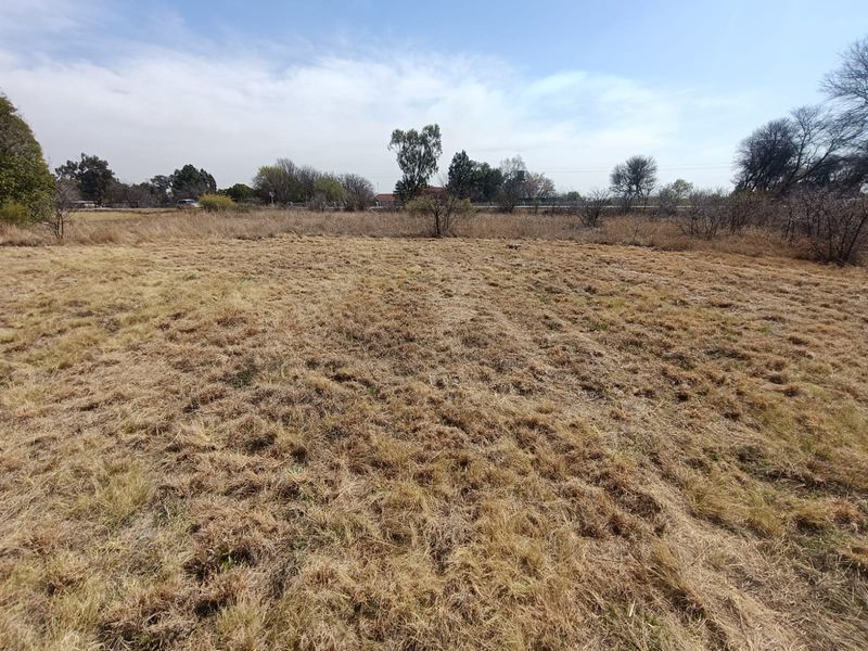 A wide-angle view of a vacant residential plot featuring dry grassland and surrounding mature trees under a clear sky.