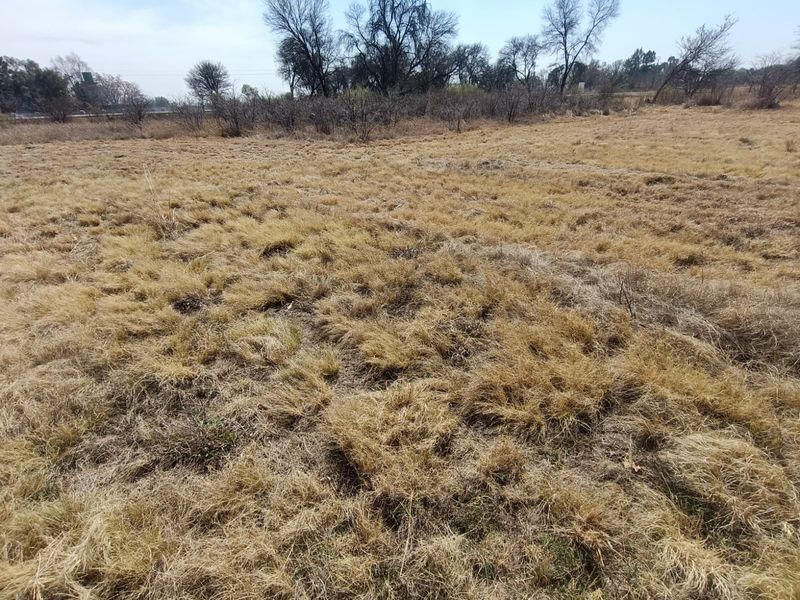 A view of an undeveloped residential vacant land plot featuring dry natural grass and surrounding trees.