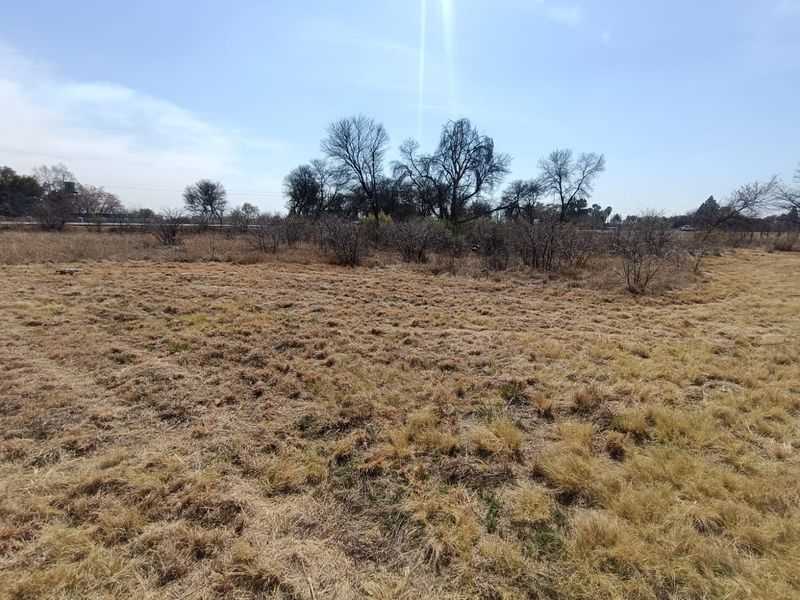 A wide-angle view of a vacant residential plot featuring dry natural grass and scattered mature trees under a clear sky.
