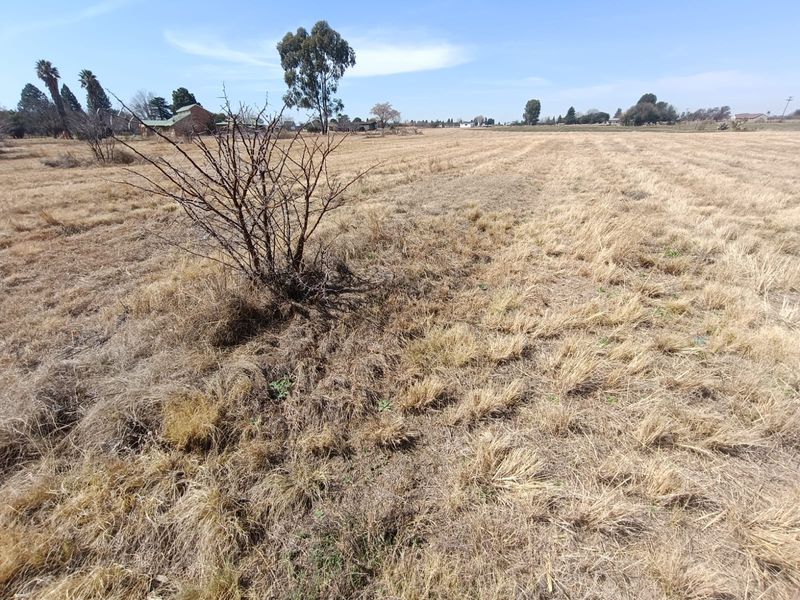 A wide-angle view of a vacant residential plot featuring dry grassland and open space.