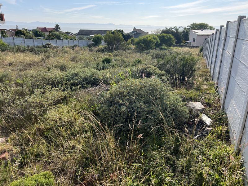 A vacant residential plot featuring natural vegetation and enclosed by a precast concrete boundary wall, offering potential for future development.