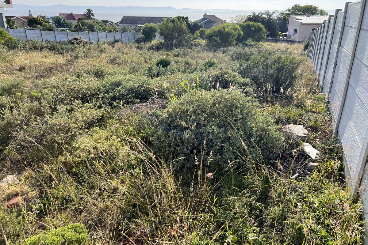 A vacant residential plot featuring overgrown natural vegetation and enclosed by precast concrete boundary walls, offering a view of the surrounding neighborhood.