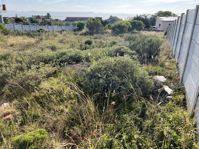 A vacant residential plot featuring overgrown natural vegetation and enclosed by precast concrete boundary walls, offering a view of the surrounding neighborhood.