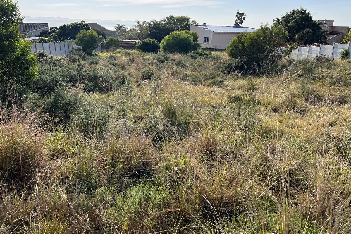 A vacant residential plot featuring overgrown natural vegetation and established boundary walls, offering potential for future development.