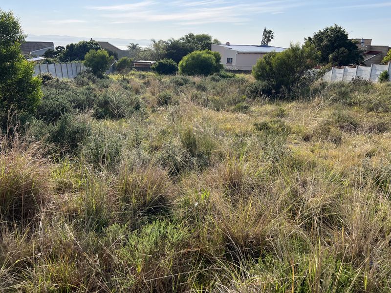 A vacant residential plot featuring overgrown natural vegetation and established boundary walls, offering potential for future development.