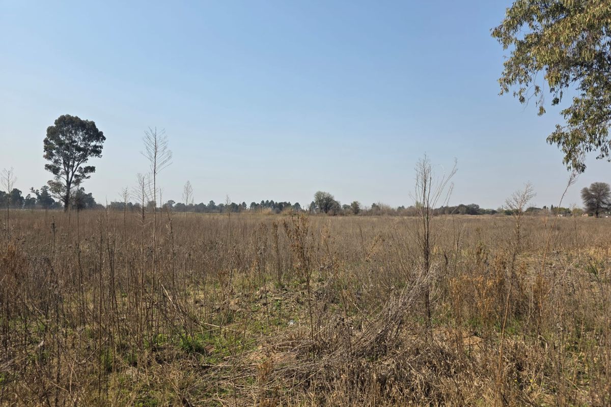 A wide-angle view of a vacant residential plot featuring natural dry vegetation and mature trees under a clear blue sky.