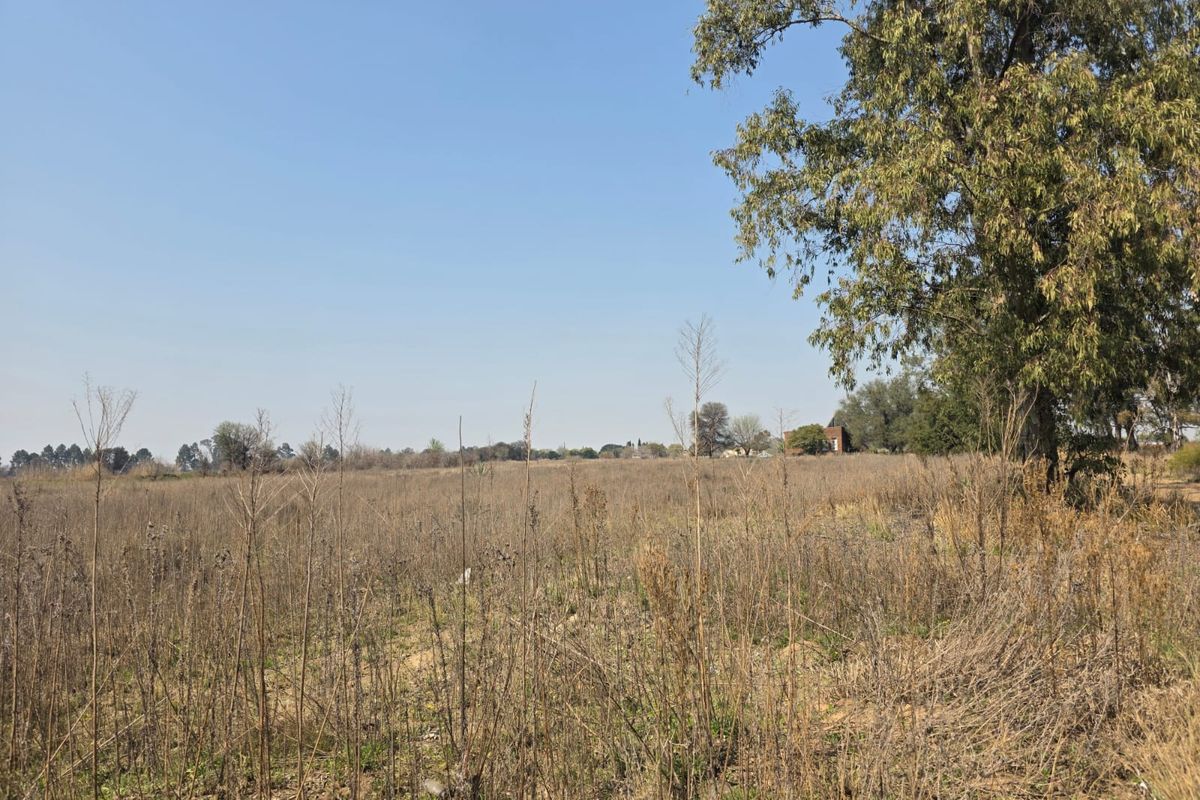 A wide-angle view of a vacant residential plot featuring dry natural vegetation and mature trees under a clear blue sky.